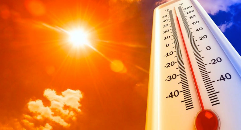 Evita complicaciones de salud a causa del calor