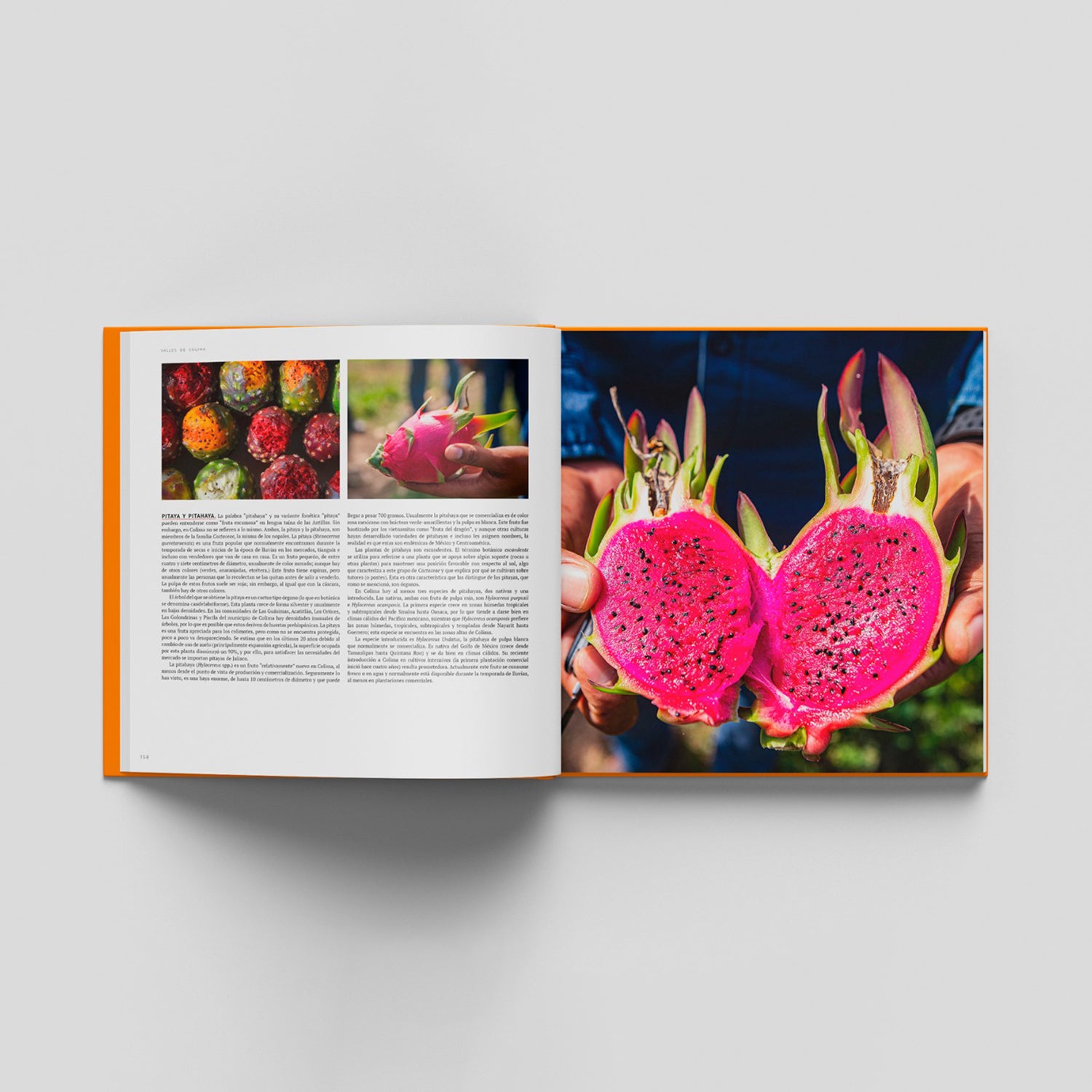 Libro Colima tomo 4