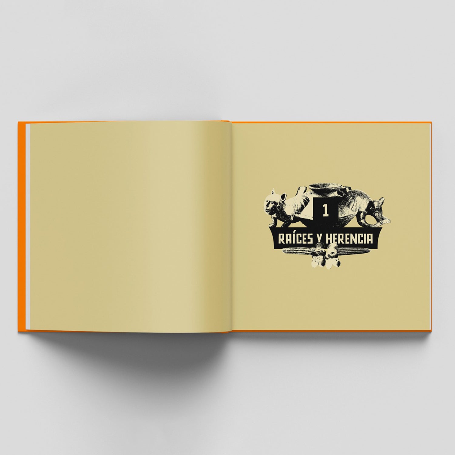 Libro Colima tomo 4
